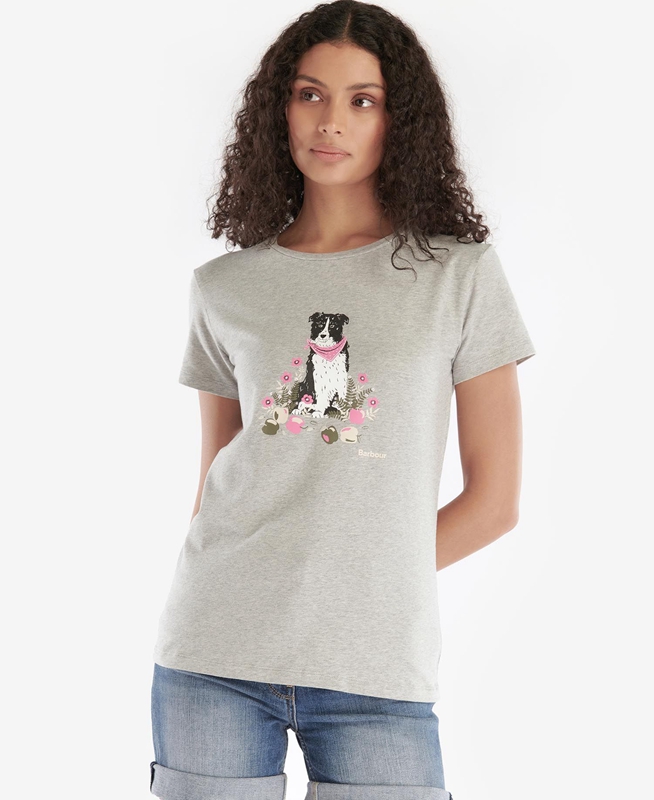 Grey Barbour Beacons Women's T Shirts | NWMK-23504